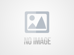 联系博世：解密400-166-7010背后的技术网络